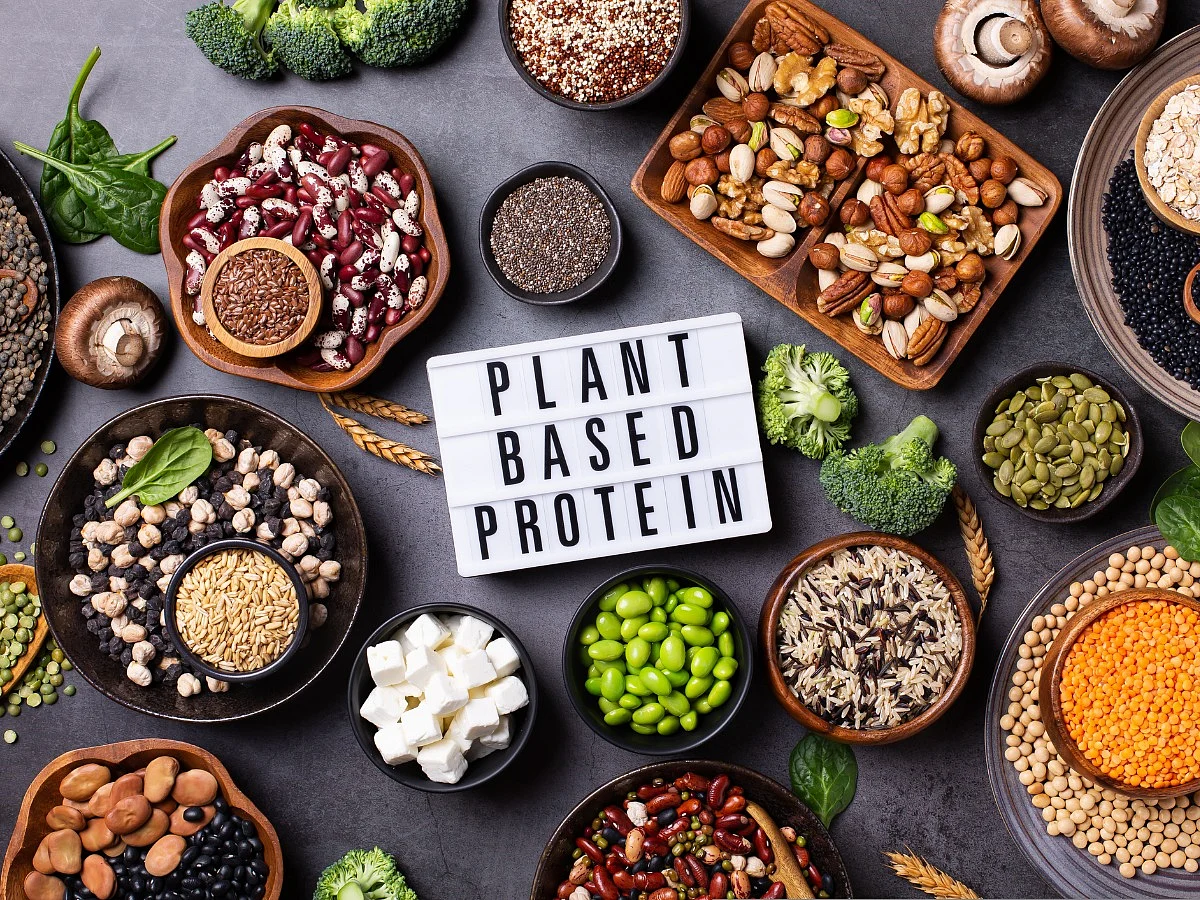 Plant Based